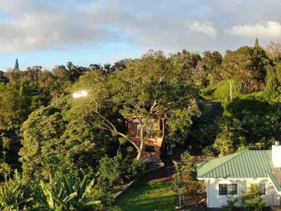 カイルア・コナ Kona'S 1St Luxury 1 Br/1B Treehouse W/ Ocean Viewヴィラ