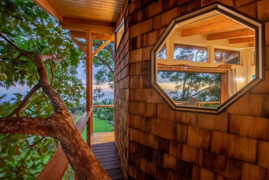 カイルア・コナ Kona'S 1St Luxury 1 Br/1B Treehouse W/ Ocean Viewヴィラ