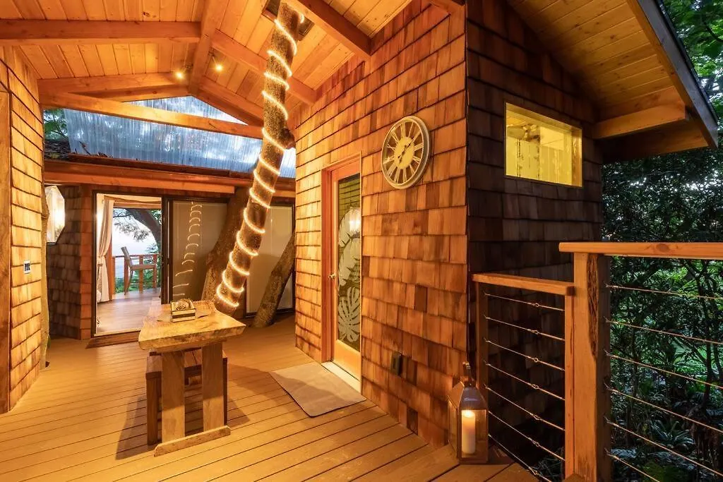 ヴィラ カイルア・コナ Kona'S 1St Luxury 1 Br/1B Treehouse W/ Ocean Viewヴィラ