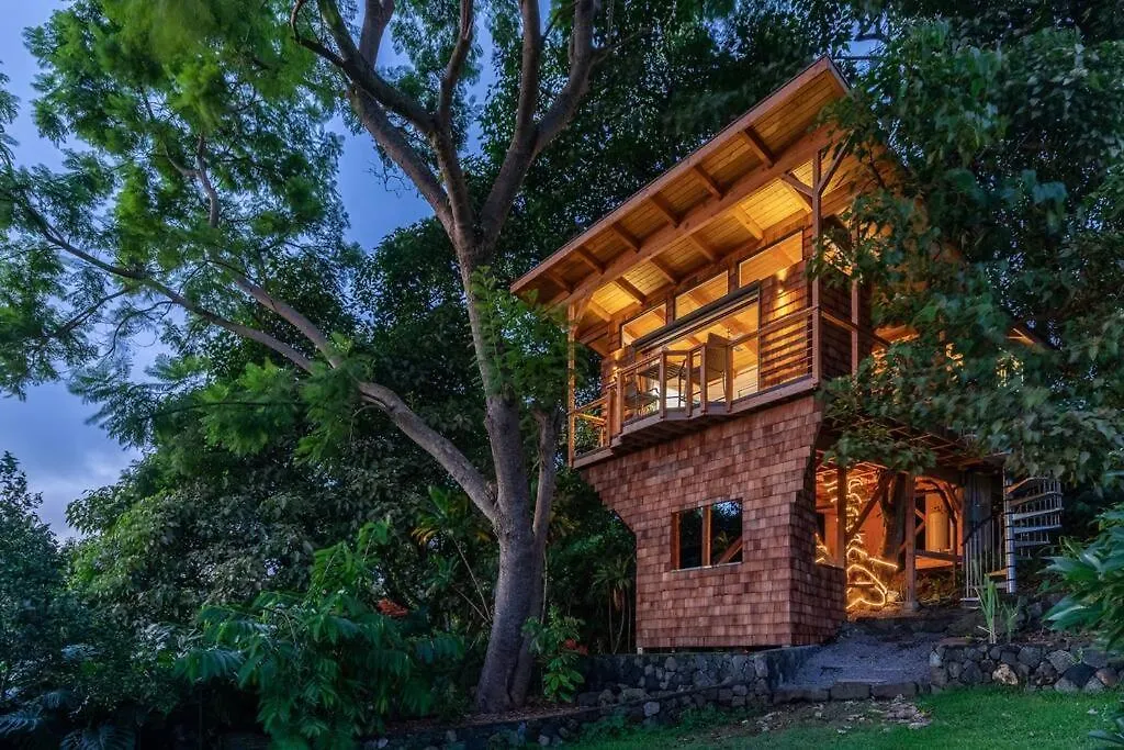 ヴィラ カイルア・コナ Kona'S 1St Luxury 1 Br/1B Treehouse W/ Ocean Viewヴィラ 米国