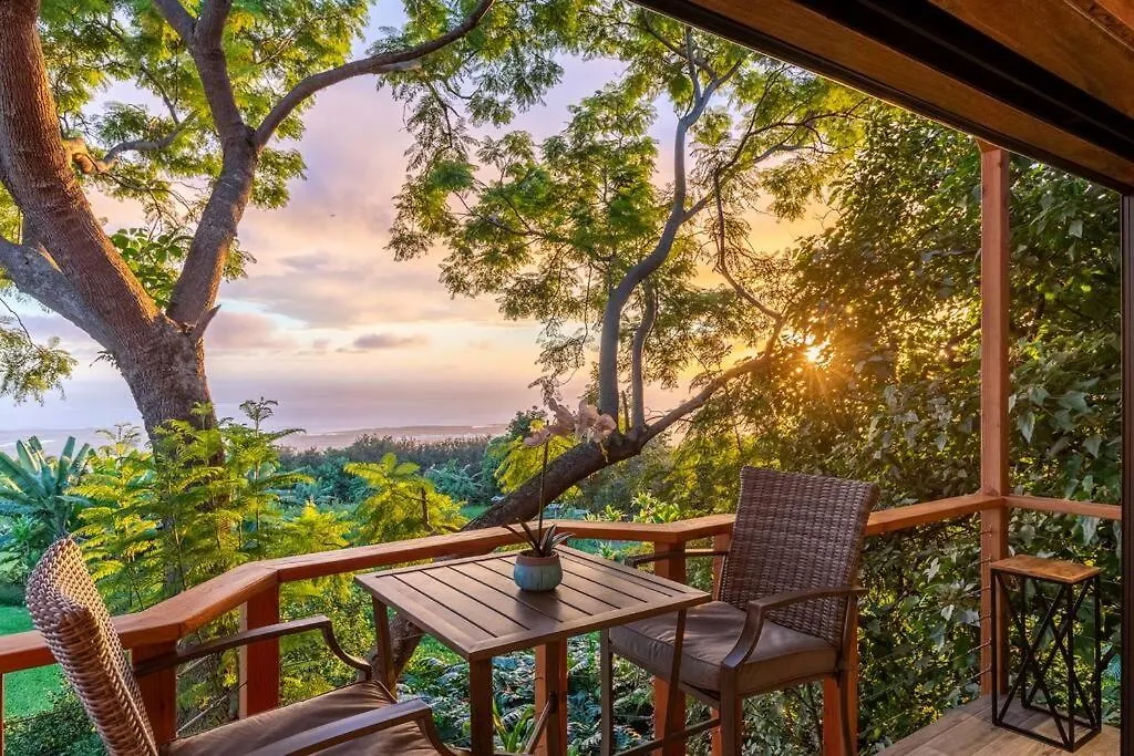 カイルア・コナ Kona'S 1St Luxury 1 Br/1B Treehouse W/ Ocean Viewヴィラ