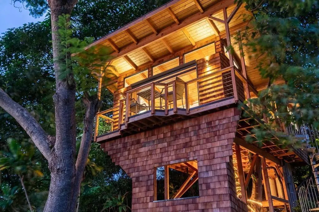 ヴィラ カイルア・コナ Kona'S 1St Luxury 1 Br/1B Treehouse W/ Ocean Viewヴィラ